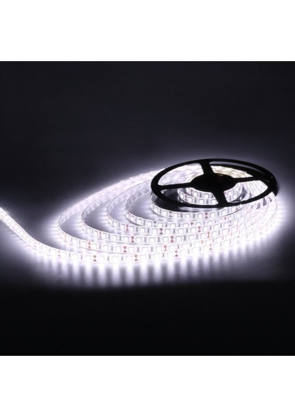 Yeni Nesil Şerit LED 20 Metre Beyaz + 25 Amper 300W LED Trafo fiyatları