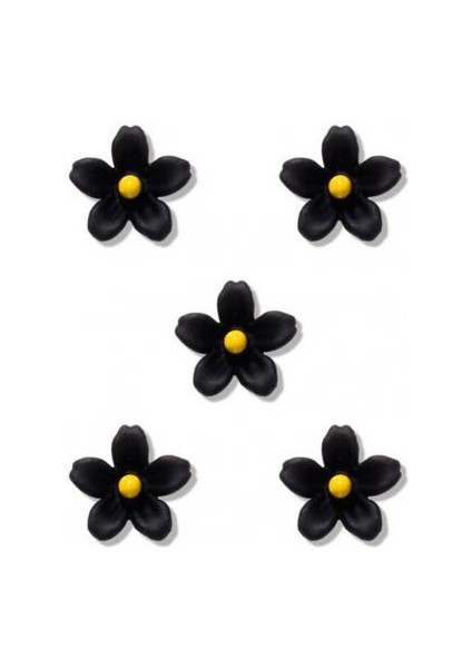 Siyah Çiçek Tırnak Dekor Alaşımlı Tırnak Sanat Süs 5 Renk Çevre Dostu Bayan Için Faydalı (Yurt Dışından)