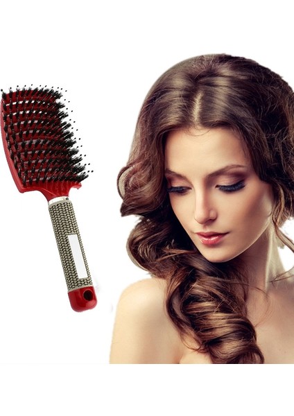 Altın Saç Derisi Masaj Tarak Saç Fırçası Kıl ve Naylon Kadın Islak Kıvırcık Detangle Saç Fırçası Salon Kuaförlük Şekillendirici Araçları (Yurt Dışından)