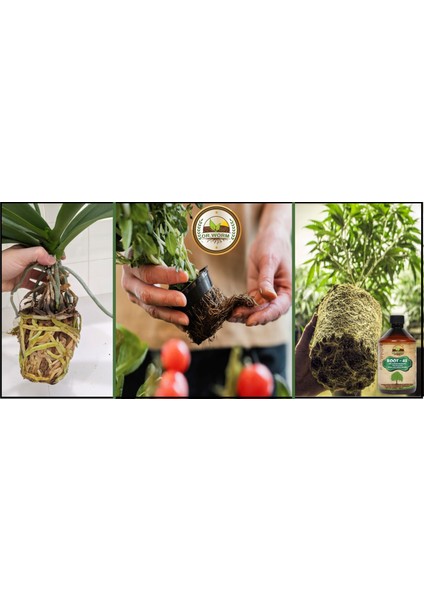 Root- 45 Köklendirici & Gelişim Destekleyici Organik Içerikli Sıvı Bitki Besini 500 ml modelleri