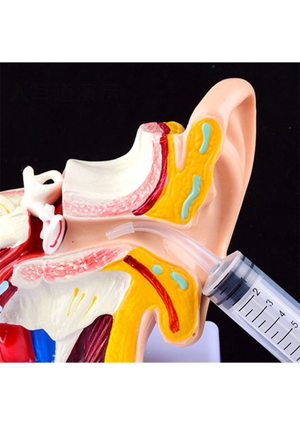 Yetişkin Için 12 ml 12 ml Kulak Temizleyici Yıkayıcı Şırınga Dirsek Kauçuk Tüp Kulak Kiri Temizleme Temizleme Aracı Kulak Temizleyici Balmumu Temizleme Kulak Temizleyici Sağlık (Yurt Dışından)