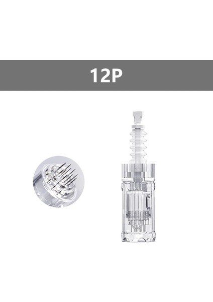 10 Adet 12 Pın 10/30/50 Adet Dermatool Süngü Iğneler Kartuşu Dr. Kalem A10 12 Pin/24 Pin/36 Pin/42 Mikro Cilt Iğneleme Yedek Kafa (Yurt Dışından)