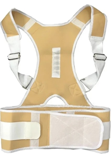 Bej L Yeni Geri Bel Duruş Düzeltici Ayarlanabilir Kemer Bel Desteği Omurga Desteği Yetişkinler Yelek Eğitmen Rahat Sırt Ağrısını Rahatlatmak (Yurt Dışından)