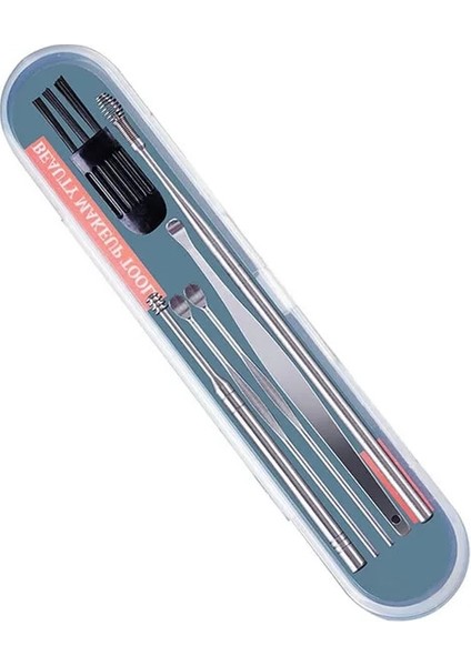 6 Adet Set 6 Adet/takım Kulak Kirini Toplayıcı Paslanmaz Çelik Kulak Tıkacı Balmumu Sökücü Piercing Seti Kulak Kirini Curette Kaşık Temiz Aracı Sopa Kulak Vax Sökücü (Yurt Dışından)