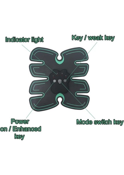 220 V Karın Elektrikli Masaj Eğitim Aparatı - Siyah (Yurt Dışından) fiyatları