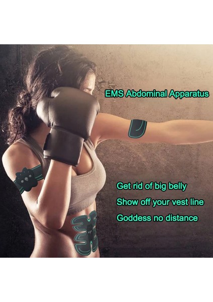 220 V Karın Elektrikli Masaj Eğitim Aparatı - Siyah (Yurt Dışından) fırsatları