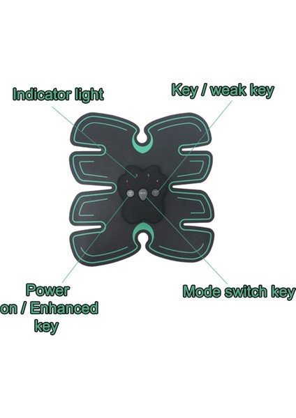 220 V Karın Elektrikli Masaj Eğitim Aparatı - Siyah (Yurt Dışından) indirimleri