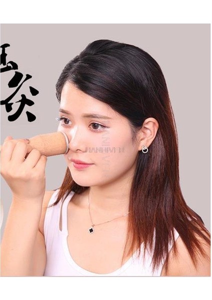 220 V Abd Plug Elektrikli Isıtma Moxa Yeşim Göz Yüz Masajı Aleti (Yurt Dışından)