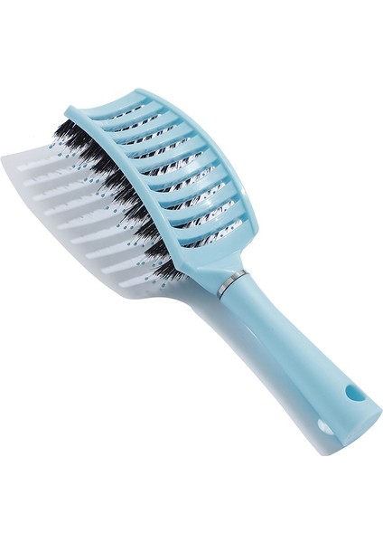 Yuvarlak Mavi 1 Adet Orijinal Saç Fırçası Sihirli Saç Tarağı Dolaşık Açıcı Saç Fırçası Dolaşık Açıcı Bit Masajı Tarak Kadın Arapsaçı Kuaför Salonu 2021 (Yurt Dışından) fırsatları