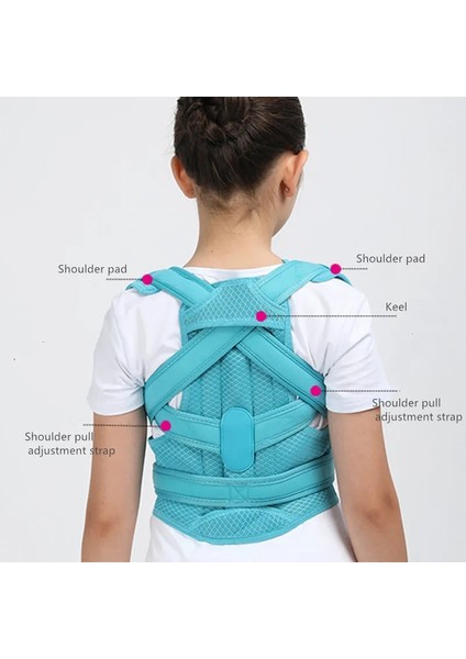Mavi L Sırt Korse Duruş Düzeltici Kemer Omuz Desteği Bel Desteği Yetişkinler ve Çocuklar Için Ayarlanabilir Sırt Duruş Düzeltmekız Erkek Için (Yurt Dışından) indirimleri