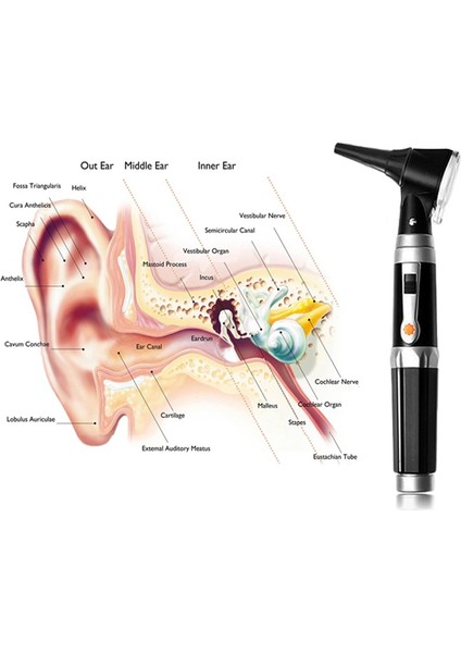 LM01T Beyaz Işık Profesyonel Otoscopio Teşhis Kiti Tıbbi Ev Doktoru Kbb Kulak Bakımı Endoskop LED Taşınabilir Otoskop Kulak Temizleyici 8 Ipuçları ile (Yurt Dışından) modelleri
