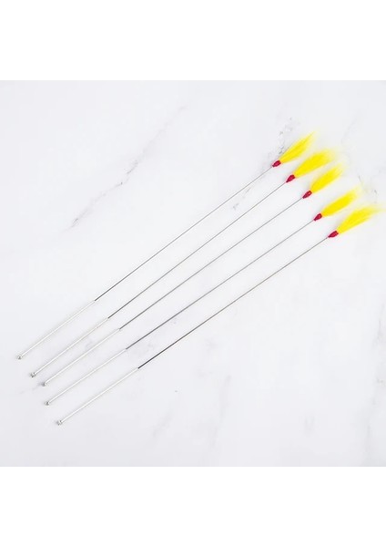 5 Adet 5 Adet Kulak Bakımı Araçları Tüy Kulak Kayma Waxer Curette Yetişkin Kulak Toplama Aracı Kaşık Temizleme Çubuğu Sağlık (Yurt Dışından)