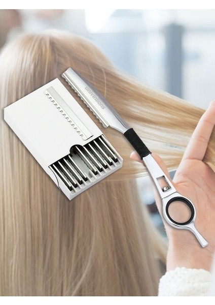 Gümüş Univinlions Renkli Saç Inceltme Jilet + 10 Bıçaklar Düz Berber Jileti Kuaförlük Kesici Saç Kesimi Bıçak Tiner Çubuk Jilet (Yurt Dışından)