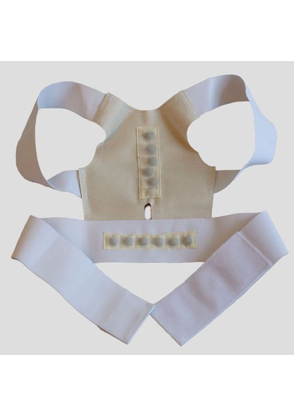 Wt L Manyetik Terapi Duruş Düzeltici Erkek ve Kadın Ortopedik Korse Omuzluk Tıbbi Korse ile Sırt Bel Desteği (Yurt Dışından)