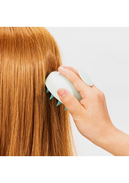 Mor Silikon Şampuan Fırça Kafası Saç Derisi Masaj Tarak Saç Yıkama Tarağı Saç Masaj Fırçası Banyo Duş Fırçası Salon Kuaförlük Araçları (Yurt Dışından) modelleri