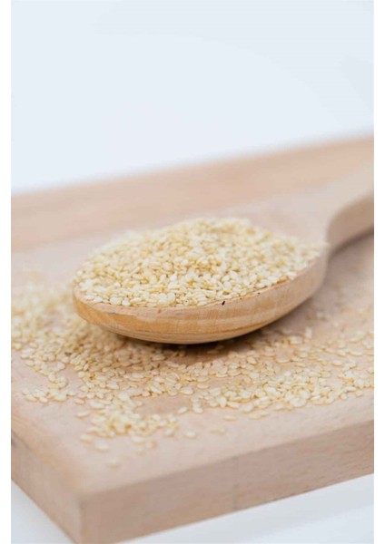 Susam 100 gr fiyatları