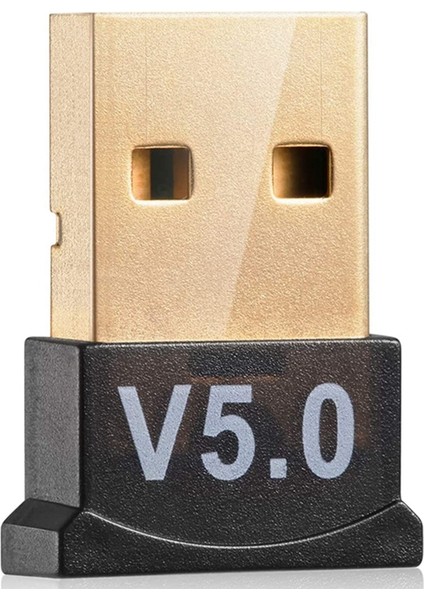 Pc Için USB Bluetooth 5.0 Adaptörü WIN10/8.1/8/7/BLUETOOTH Dongle Alıcı/verici Kulaklığı Bağlama Desteği Için (Yurt Dışından)