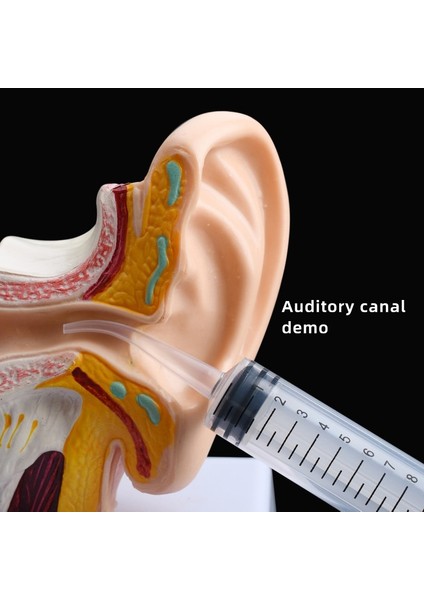 12 ml Kulak Yıkama Cihazı Kulak Deldi Kulak Kanalını Yıkamak Için Emici Su Yıkama Kulak Yıkama Cihazı Kulak Toplama Aracı Temizleme (Yurt Dışından) indirimleri