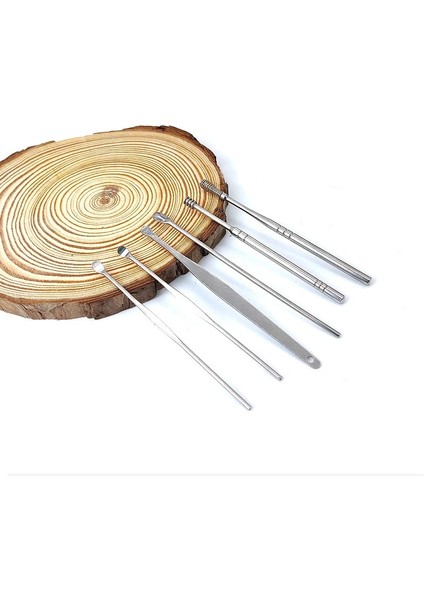 08 6 Adet/takım Paslanmaz Çelik Spiral Kulak Temizleme Çubuğu Kaşık Kulak Kiri Temizleme Temizleyici Kulak Aracı Çok Fonksiyonlu Taşınabilir Depolama Kılıfı ile (Yurt Dışından) indirimleri