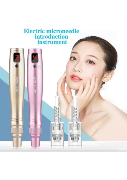 10 Adet 12PIN Kablosuz Dermapen Elektrikli 5 Seviye Cilt Bakım Kalemi LED Ekran ile Microblading Cilt Bakımı Mikro Iğneleme Terapi Skar (Yurt Dışından)