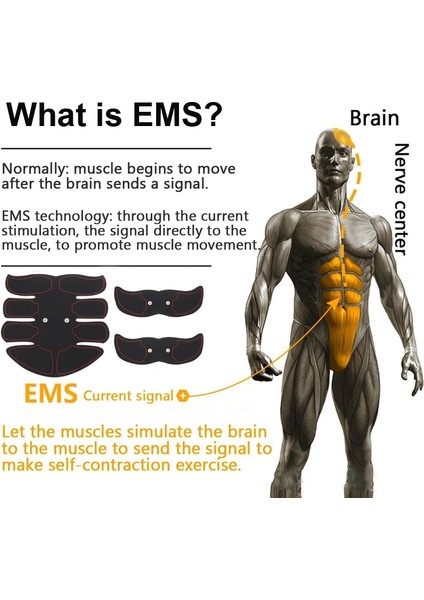 N6-3IN1SET ve Kalça 2020 Ems Kablosuz Kas Stimülatörü Karın Sıkılaştırma Kemeri Kas Güçlendirici Vücut Kas Fitness Eğitmeni Karın Kol Bacak Unisex (Yurt Dışından)