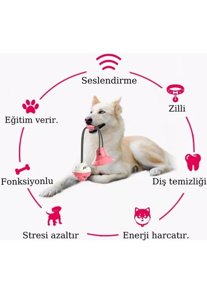 Köpekler için eğitici interaktif oyuncak- Güçlü vantuz ile yere sabitlenir-Eğitir-Ödül maması verir