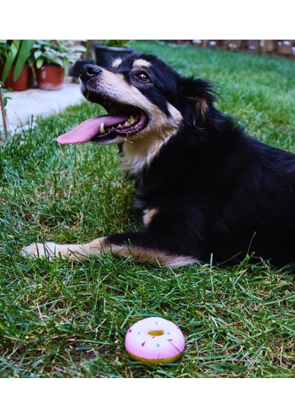 Köpek diş temizleyici ve çiğneme oyuncağı-Sağlam yapı-Estetik görünüm-Bushop Donut Çikolata