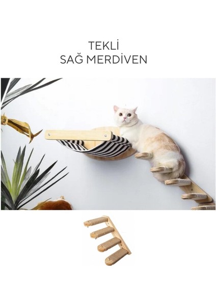 Kedi Yatağı, Kedi Yuvası, ve Kedi duvar yatağı, Kedi hamağı, + Sağ Tip Kedi Tırmanma Merdiveni, 2li Ahşap Modern Set, BuShop Black Zebra Serisi