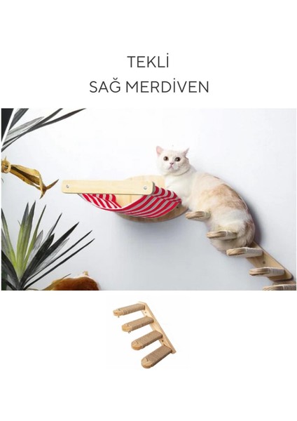 Kedi Yatağı, Kedi Yuvası, ve Kedi duvar yatağı, Kedi hamağı, + Sağ Tip Kedi Tırmanma Merdiveni, 2li Ahşap Modern Set, BuShop Zebra Serisi