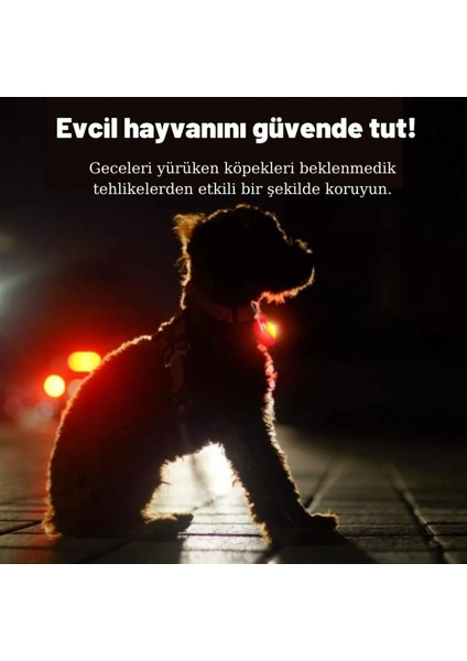 Köpek Tasmaları Led Işık Köpek Tasması Özel Etiketli BuShop Yansıtıcı Kırmızı M modelleri