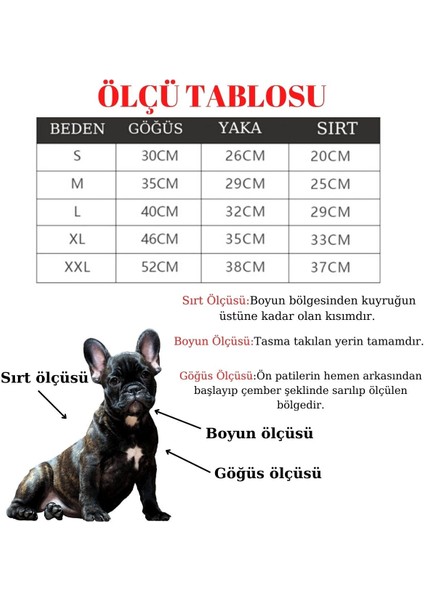 Köpek Tasmaları Led Işık Köpek Tasması Özel Etiketli BuShop Yansıtıcı Kırmızı M fırsatları