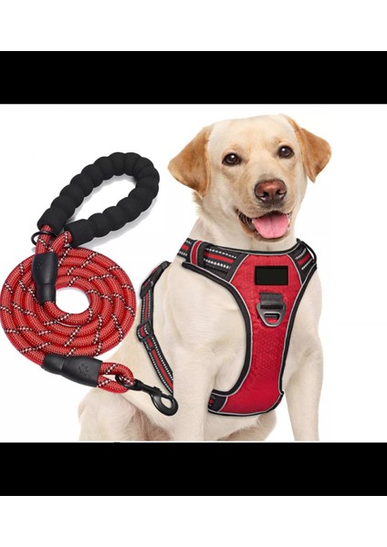 Köpek Göğüs Tasması Gezdirme Seti 2 Li Pembe S-110cm-BuShop