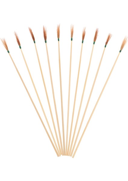 10 Adet 5/10 Adet/grup Gümüş Iğne ve Sülün Tüy Earpick Balmumu Sökücü Küret Yetişkin Kulak Kazma Araçları Kaşık Temizleyici Sopa Sağlık (Yurt Dışından)