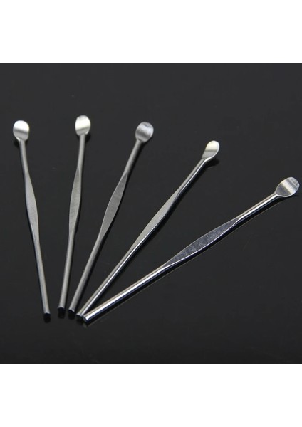 5 Adet Paslanmaz Çelik Earpick Temizleyici Kulak Temizleme Çubuğu Balmumu Küret Sökücü Bakım Aracı Sıcak (Yurt Dışından)