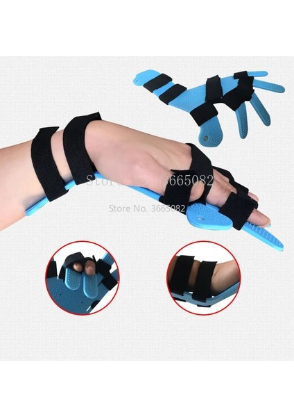 D Sağ El Parmak Noktaları Klavye Rehabilitasyon Eğitim Cihazı Sabit Ortodontik Beyin Felci Hemipleji El Bileği (Yurt Dışından) modelleri