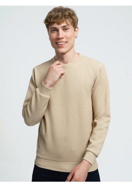 Regular Fit Erkek Sweatshirt