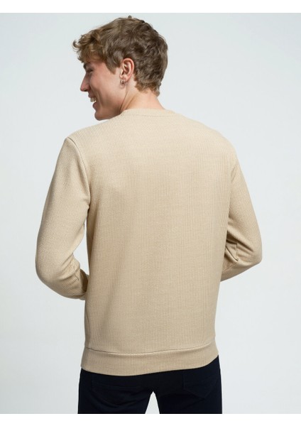 Regular Fit Erkek Sweatshirt fiyatları