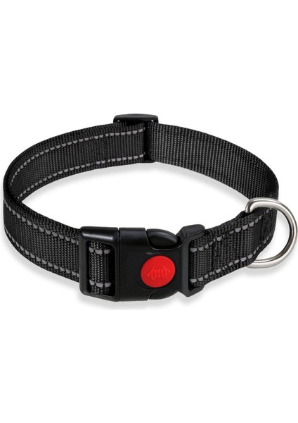 Ayarlanabilir Temel Köpek Tasması