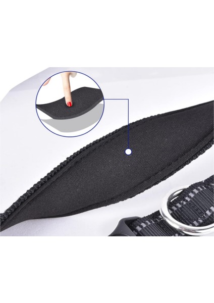 Ayarlanabilir Temel Köpek Tasması fiyatları