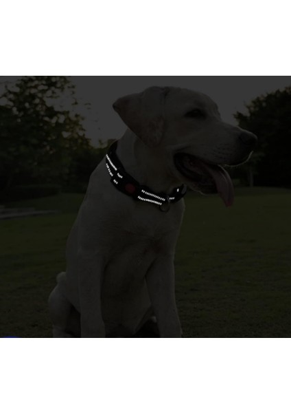 Ayarlanabilir Temel Köpek Tasması modelleri