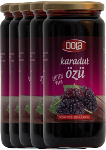 Glutensiz Karadut Özü 640 gr 5 Adet
