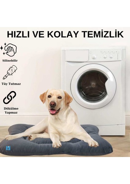 Yıkanabilir Hafif Soft Kedi ve Köpek Yatağı Tüy Tutmaz Mukavemetli Sökülmez