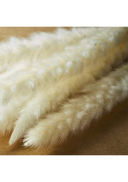 40 Adet Doğal Kurutulmuş Beyaz Pampas Çim 45 cm ve Sallanan Dıy Boho Bitki Düğün Çiçek Aranjmanları Dekor Için (Yurt Dışından) modelleri