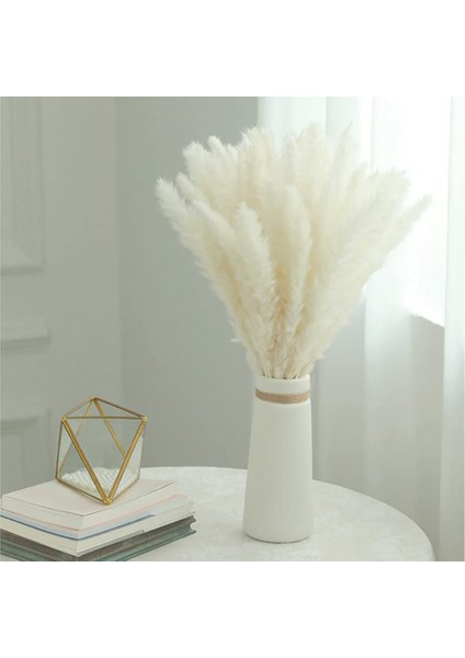 40 Adet Doğal Kurutulmuş Beyaz Pampas Çim 45 cm ve Sallanan Dıy Boho Bitki Düğün Çiçek Aranjmanları Dekor Için (Yurt Dışından) indirimleri