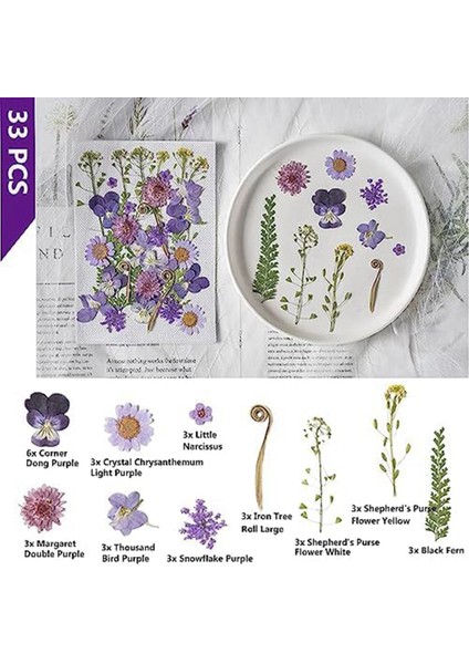 3 Paket Kurutulmuş Preslenmiş Çiçekler, El Sanatları Için Doğal Renkli Preslenmiş Çiçekler Gerçek Kuru Çiçekler Yaprak Seti Kurutulmuş Çiçekler (Yurt Dışından) fırsatları