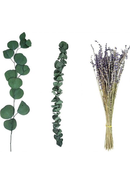 17 Inç Doğal Gerçek Okaliptüs Yaprakları Duş Dekor Ev Dekor Aromatik Lavanta Duş Tesisi (Yurt Dışından) fiyatları