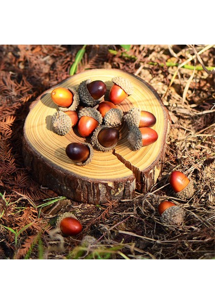 200 Adet Mini Yapay Meşe Palamudu, Sonbahar Sving Cadılar Bayramı Dekorasyon Için Doğal Kapaklı Toplu, Düğün Dekor (Yurt Dışından) indirimleri