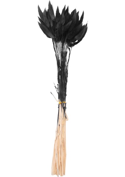 60 Adet Güz Kurutulmuş Çiçekler Tavşan Kurutulmuş Çiçekler Lagurus Ovatus Tavşan Kuyruğu Çim Kurutulmuş Çiçek (Siyah) (Yurt Dışından)