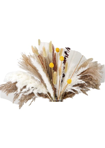 110 Adet Kurutulmuş Pampas Çim Boho Dekor Ev Dekor Için Doğal Kurutulmuş Çiçekler Boho Banyo Dekor, Ofis Dekor (Yurt Dışından)