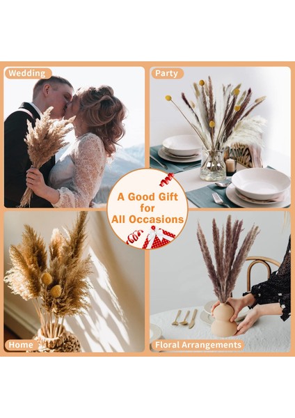 110 Adet Kurutulmuş Pampas Çim Boho Dekor Ev Dekor Için Doğal Kurutulmuş Çiçekler Boho Banyo Dekor, Ofis Dekor (Yurt Dışından) indirimleri